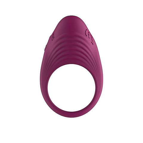Silicone USB Rechargeable Penis Ring by Passion Play - Vibrating Cock Rings