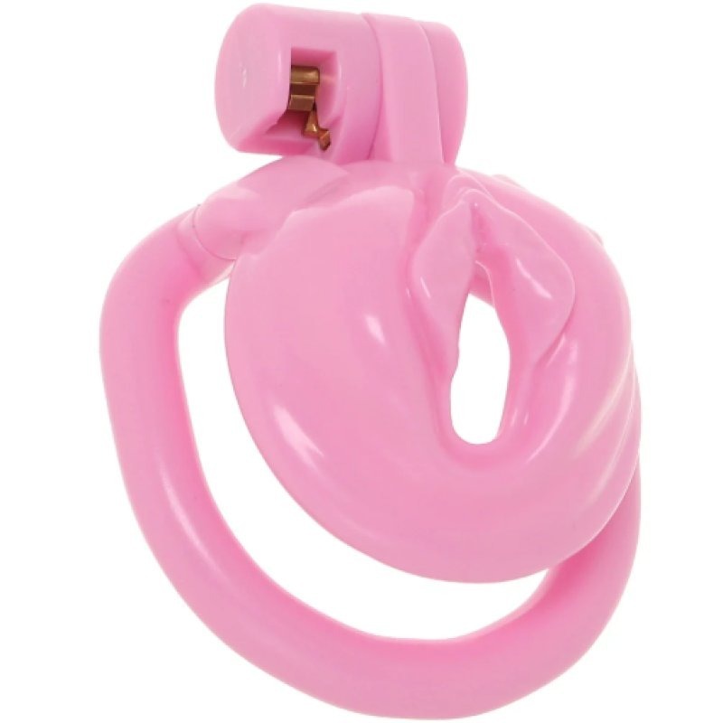 Bitchboy Degrading Mini Chastity Cage by Electric EEL Inc - Male Chastity