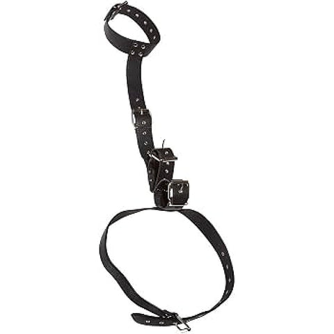 Bad Kitty Neck Restraint with Handcuffs by Orion - Cuffs And Restraints