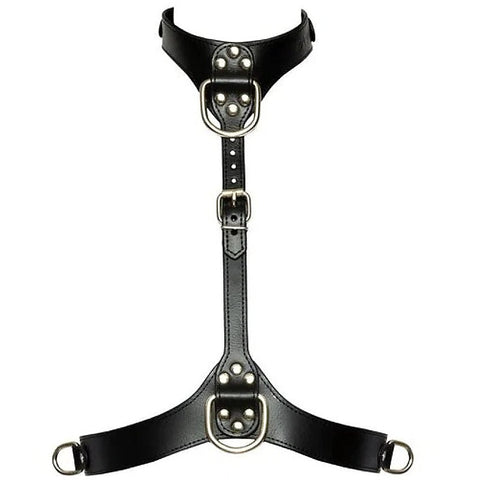 Bad Kitty Adjustable Chest Bondage Harness by Orion - Her Fetish
