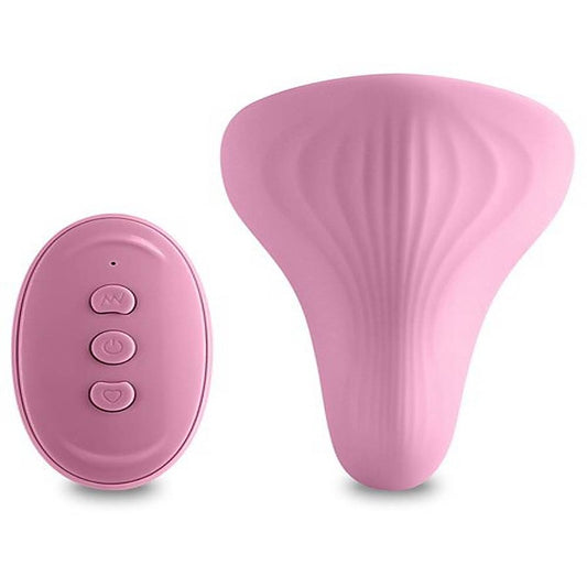 Desire Mantra Remote Control Panty Vibrator - Remote Control Vibrators