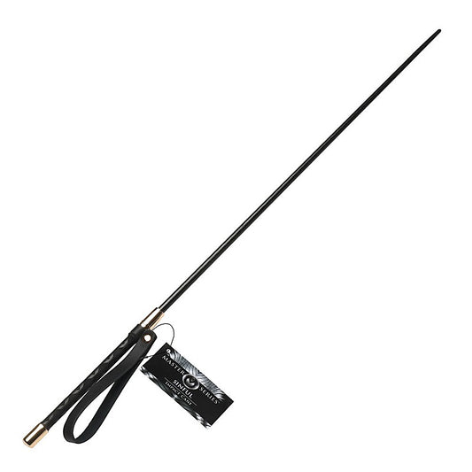 Master Series Sinful Impact Cane Plastic Cane Whip - Whips And Crops