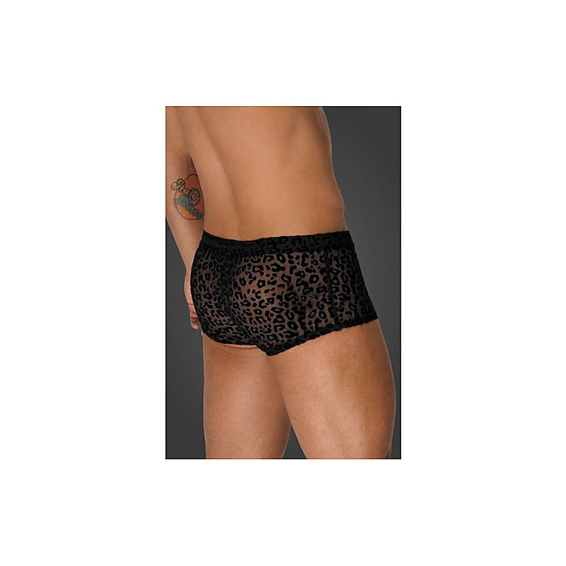Leopard Flock Short Shorts by Noir Handmade - His Fetish