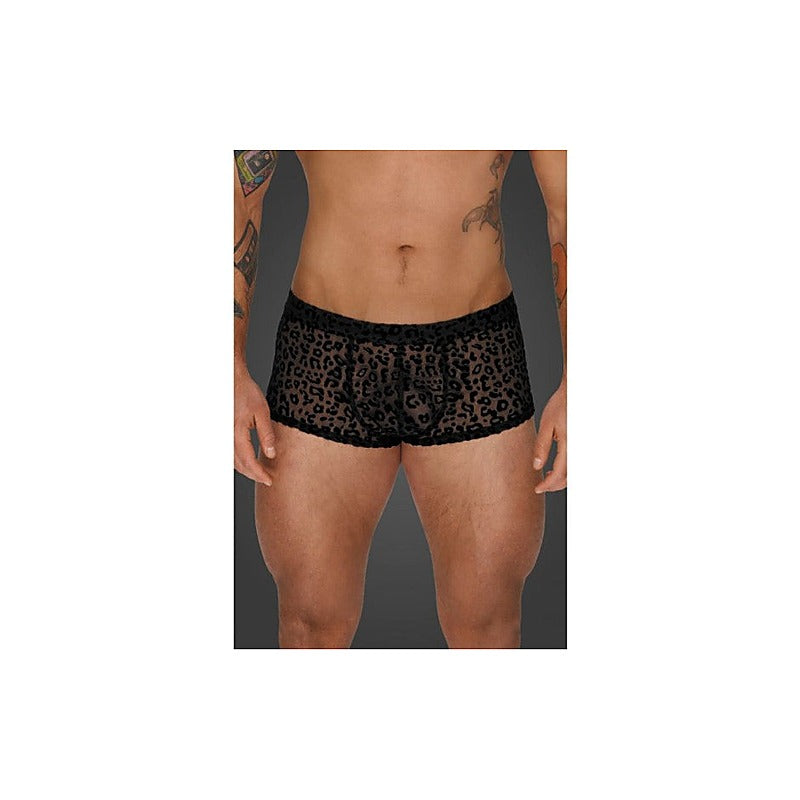 Leopard Flock Short Shorts by Noir Handmade - His Fetish