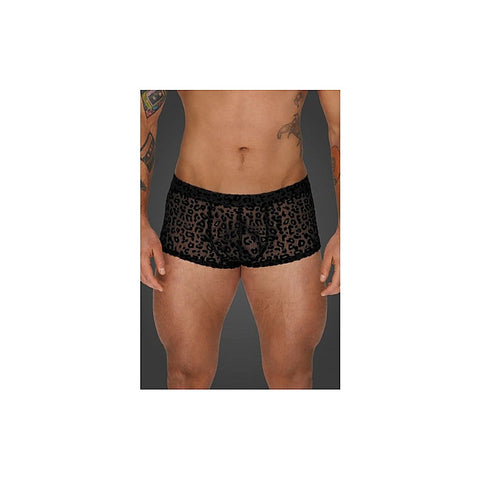Leopard Flock Short Shorts by Noir Handmade - His Fetish
