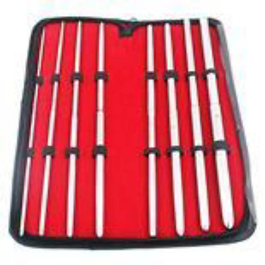 Pratt 8 Pieces Double Ended Urethral Dilator Set by BDStyle - Urethral Sounds