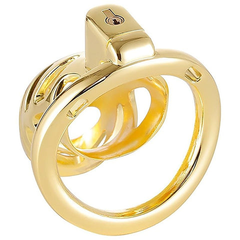 Male Chastity Cage with 3 Active Sizes Rings by BDStyle - Male Chastity