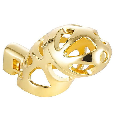 Male Chastity Cage with 3 Active Sizes Rings by BDStyle - Male Chastity