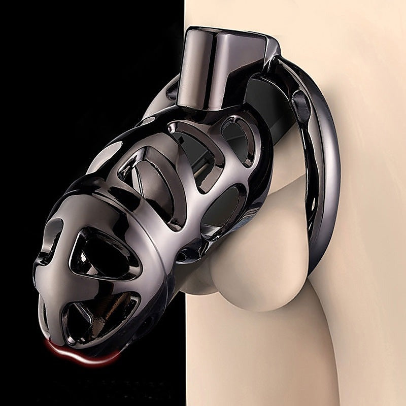 Male Chastity Cage with 3 Active Sizes Rings by BDStyle - Male Chastity