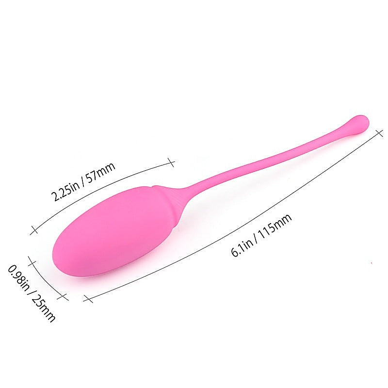 Deluxe Kegel Exerciser System by BDStyle - Love Eggs and Kegel Exercisers