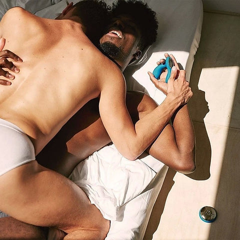 Hugo Remote Controlled Prostate Massager by Lelo - Prostate Sex Toys