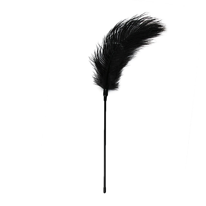 Bondage Play Feather Tickler by Easytoys - Ticklers