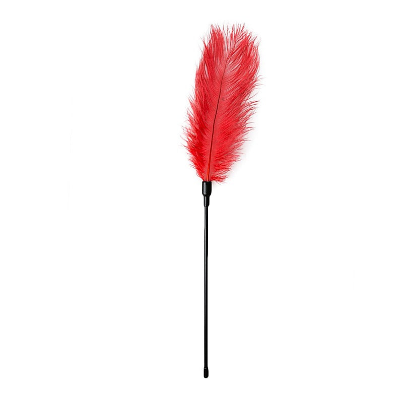 Bondage Play Feather Tickler by Easytoys - Ticklers