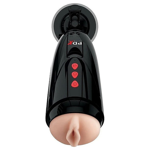 Extreme Toyz Elite Dirty Talk Starter Stroker by Pipedream - Realistic Butts And Vaginas