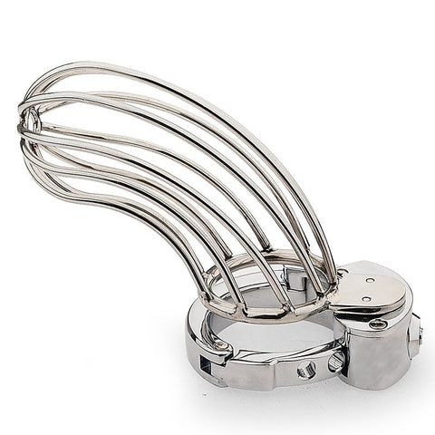 Bird Cage Male Chastity Device by BDStyle - Male Chastity
