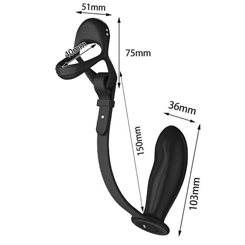 Vibrating Cock and Ball Ring With Prostate Plug by BDStyle - Vibrating Cock Rings