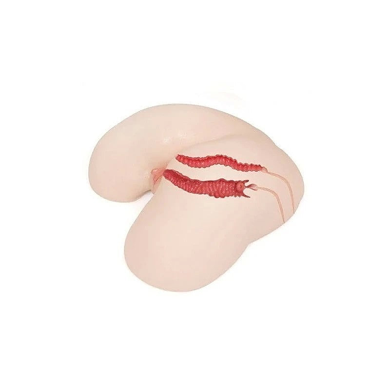 Maria Onahole 3 Ultra Realistic Male Masturbator By Kokos - Realistic Butts And Vaginas