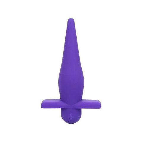 Rechargeable High Intensity Anal Probe by California Exotics - Anal Vibrators
