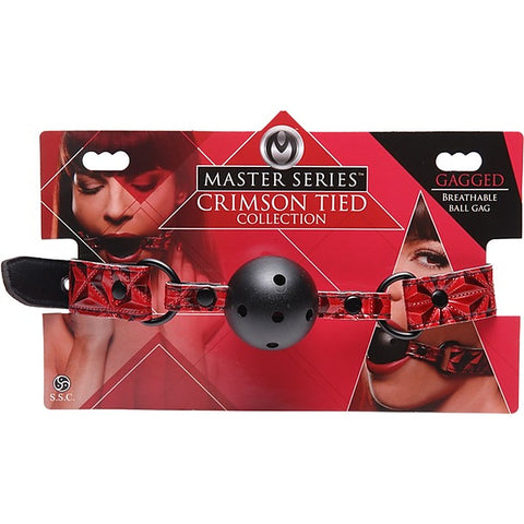 Master Series Tied Breathable Fetish Play Ball Gag - Bondage Gags and Bits