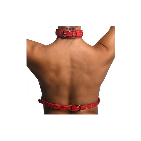Strict Vegan Leather Female Chest Harness by XR Brands - Cuffs And Restraints
