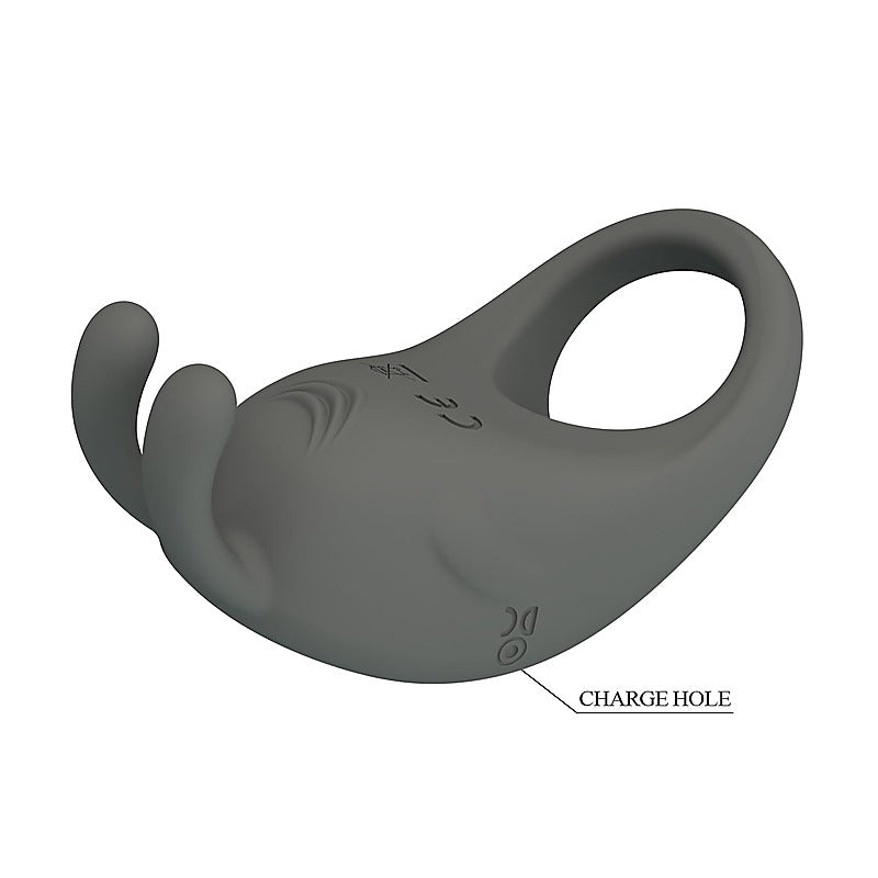 Stratus Rechargeable Master Cock Ring by Baile - Vibrating Cock Rings