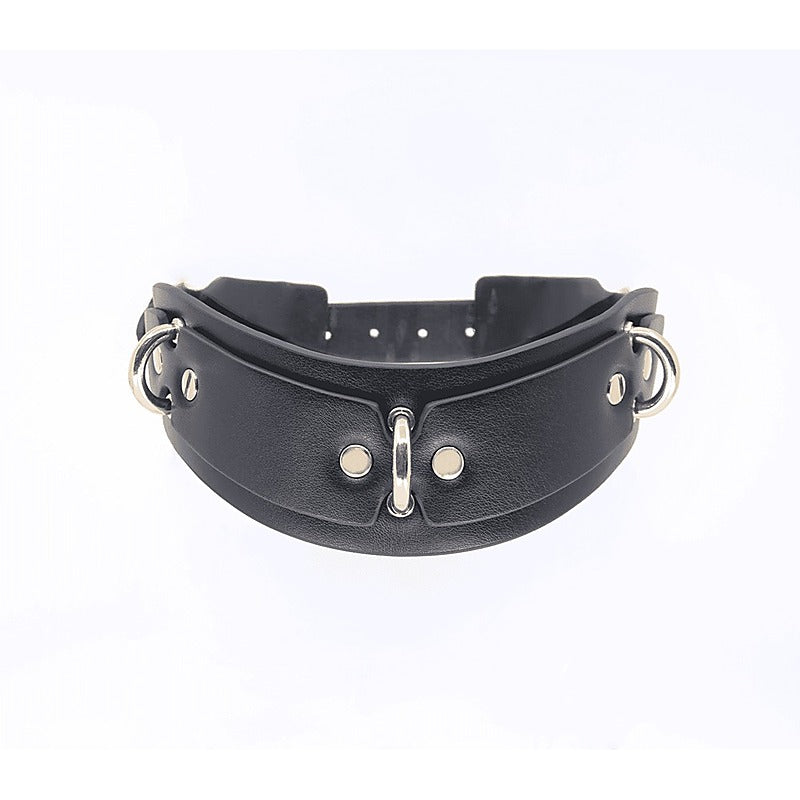 Posture BDSM Collar With Rings by Love In Leather - Collars and Leads