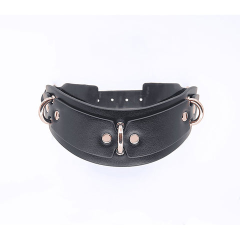 Posture BDSM Collar With Rings by Love In Leather - Collars and Leads