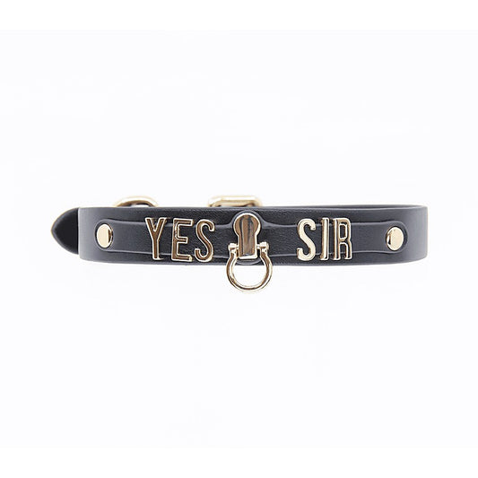 Yes Sir BDSM Play Collar by Love In Leather - Collars and Leads