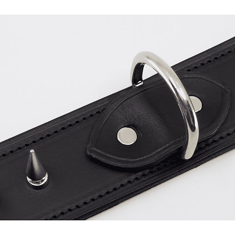 BDSM Collar With Long Spikes by Love In Leather - Collars and Leads