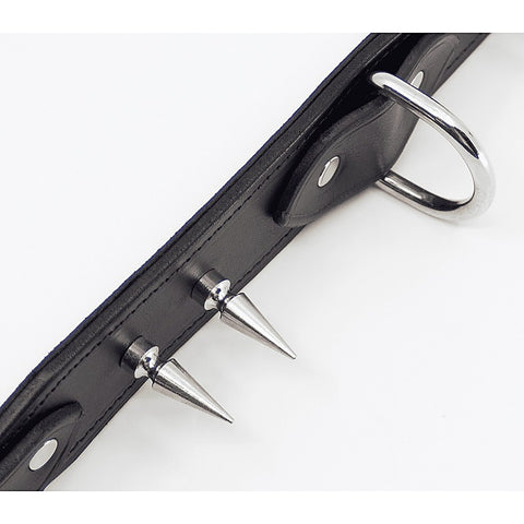 BDSM Collar With Long Spikes by Love In Leather - Collars and Leads