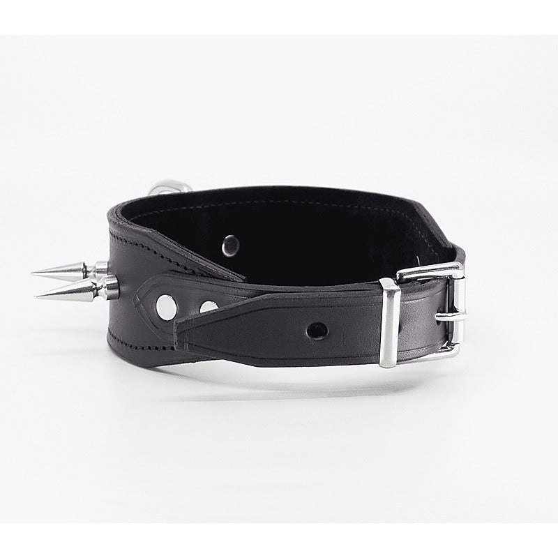 BDSM Collar With Long Spikes by Love In Leather - Collars and Leads