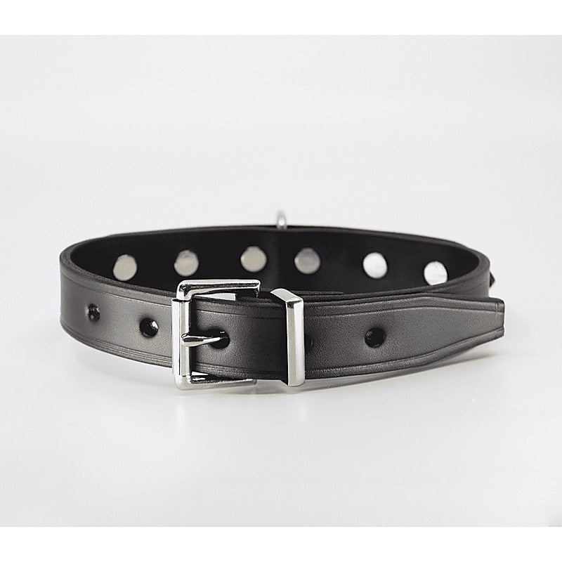 BDSM Collar With Short Dog Spikes by Love In Leather - Collars and Leads