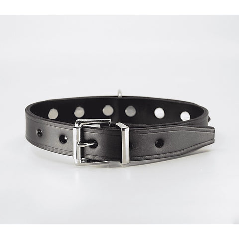 BDSM Collar With Short Dog Spikes by Love In Leather - Collars and Leads