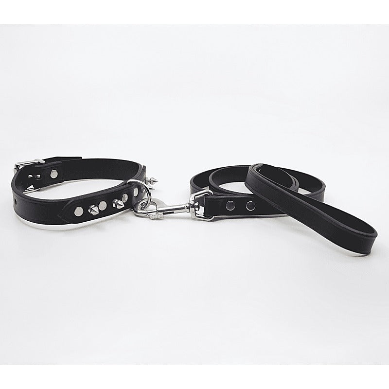 BDSM Collar With Short Dog Spikes by Love In Leather - Collars and Leads
