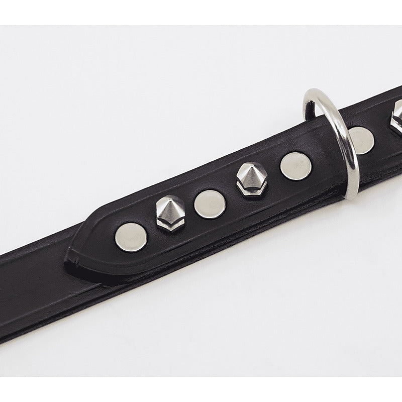 BDSM Collar With Short Dog Spikes by Love In Leather - Collars and Leads