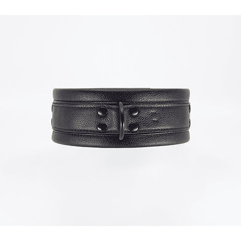 Faux Leather Collar & Lead Set by Love In Leather - Collars and Leads