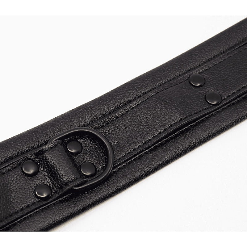 Faux Leather Collar & Lead Set by Love In Leather - Collars and Leads