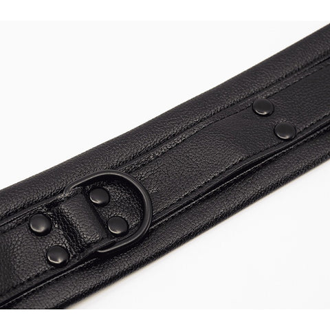 Faux Leather Collar & Lead Set by Love In Leather - Collars and Leads