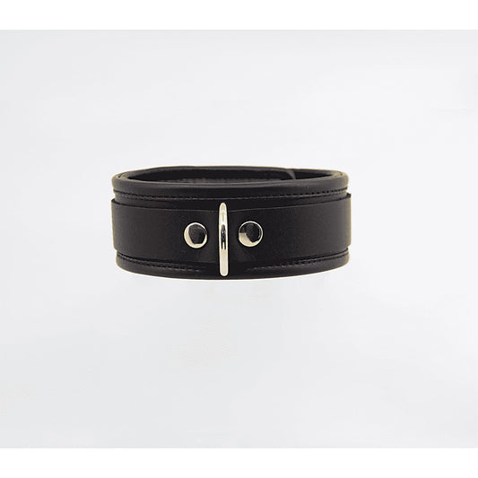 Fetish Collar with Coloured Hardware by Love In Leather - Collars and Leads