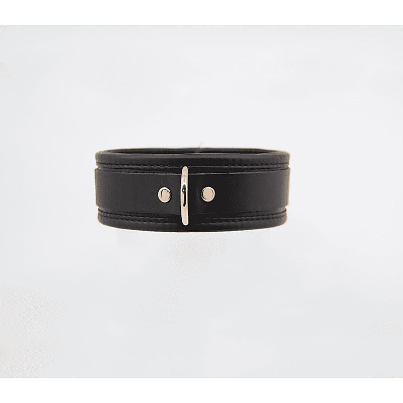Fetish Collar with Coloured Hardware by Love In Leather - Collars and Leads