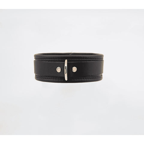 Fetish Collar with Coloured Hardware by Love In Leather - Collars and Leads