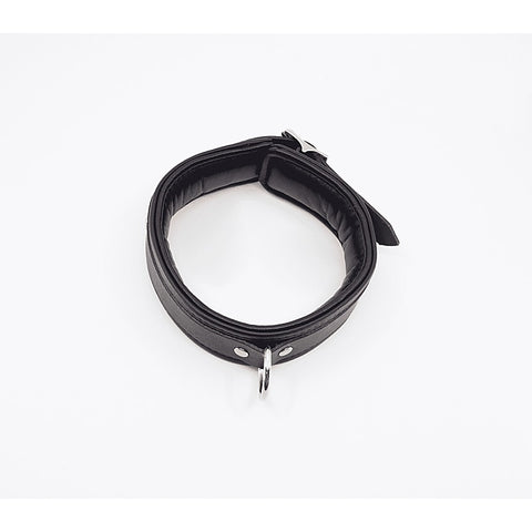 Fetish Collar with Coloured Hardware by Love In Leather - Collars and Leads