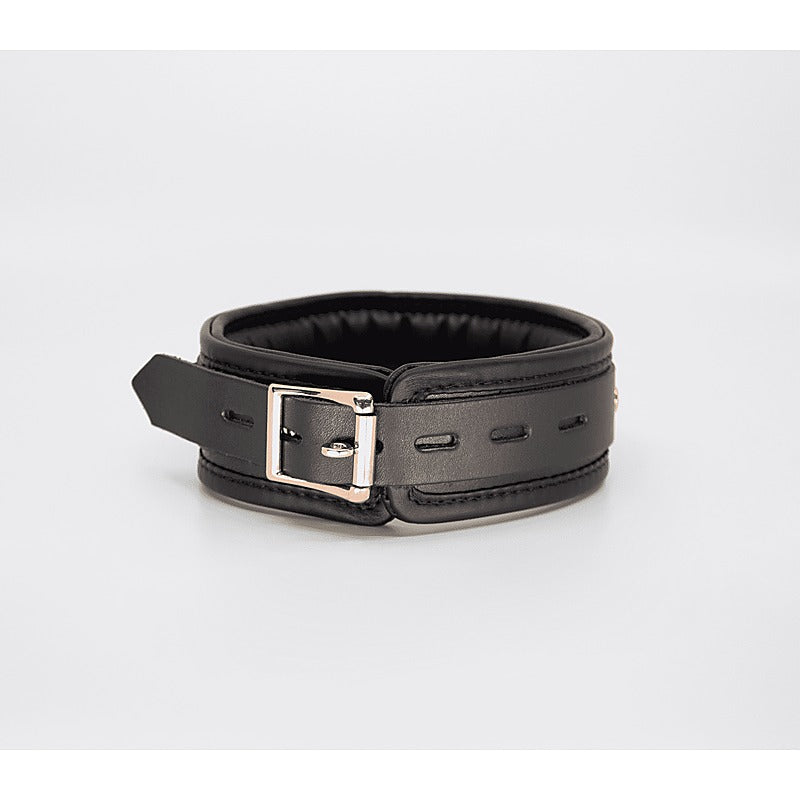 Fetish Collar with Coloured Hardware by Love In Leather - Collars and Leads