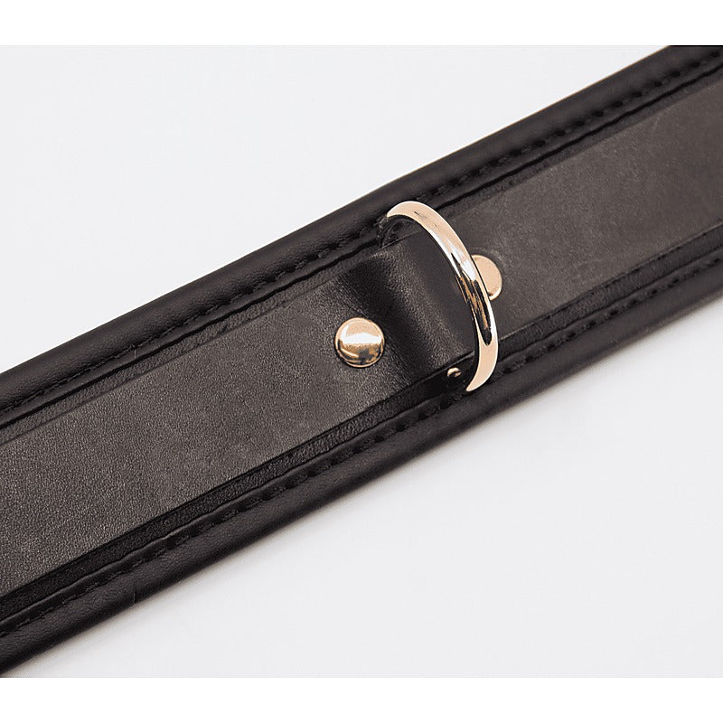 Fetish Collar with Coloured Hardware by Love In Leather - Collars and Leads