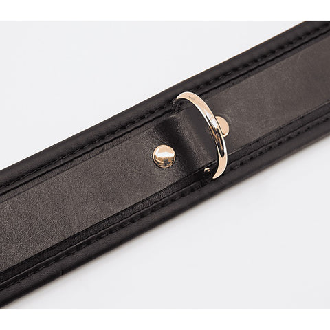 Fetish Collar with Coloured Hardware by Love In Leather - Collars and Leads