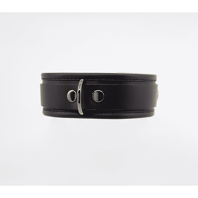 Fetish Collar with Coloured Hardware by Love In Leather - Collars and Leads