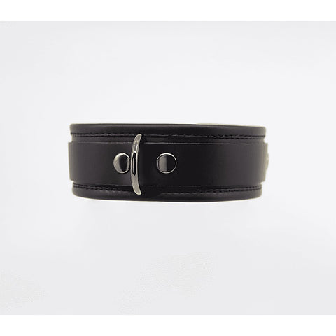 Fetish Collar with Coloured Hardware by Love In Leather - Collars and Leads