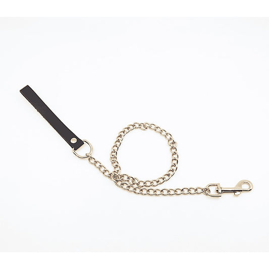 BDSM Chain Lead With Coloured Hardware by Love In Leather - Collars and Leads