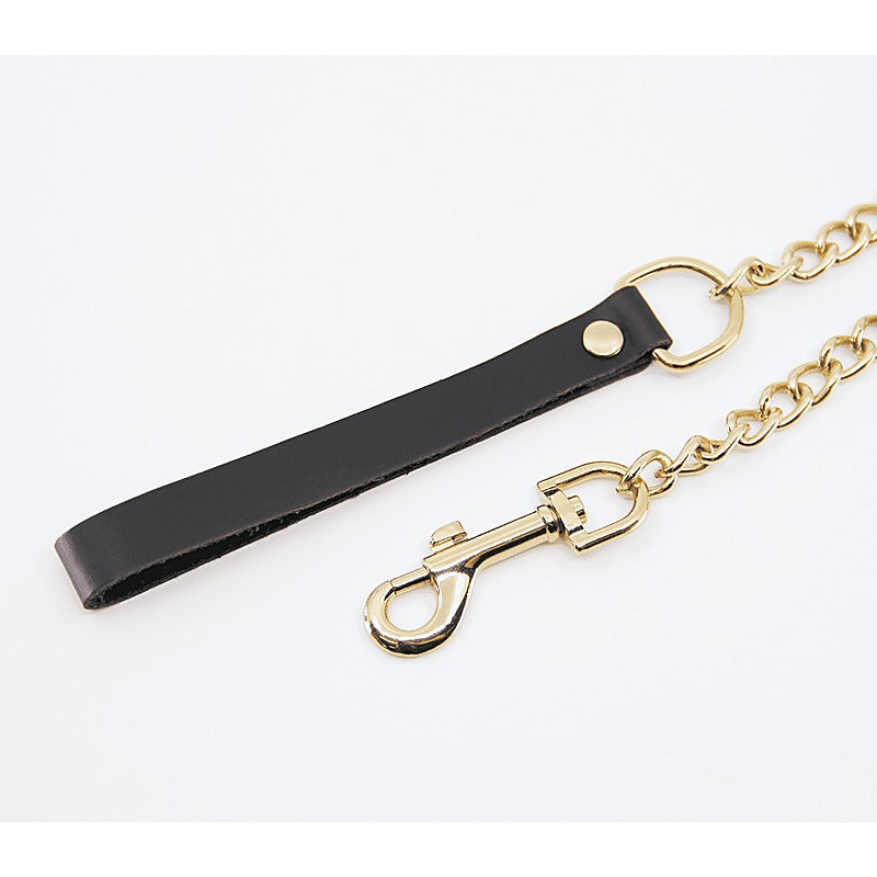BDSM Chain Lead With Coloured Hardware by Love In Leather - Collars and Leads