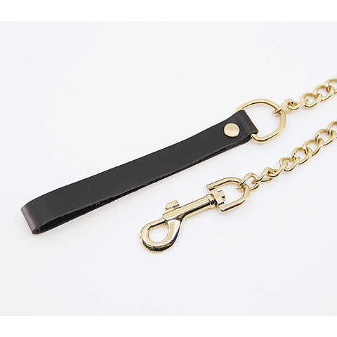 BDSM Chain Lead With Coloured Hardware by Love In Leather - Collars and Leads